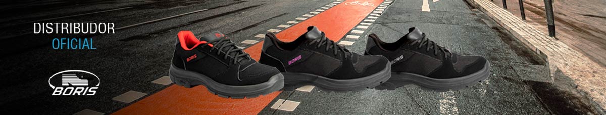 banner-boris-security banner-boris-security